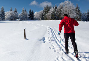 Langlauf Bayerischer Wald